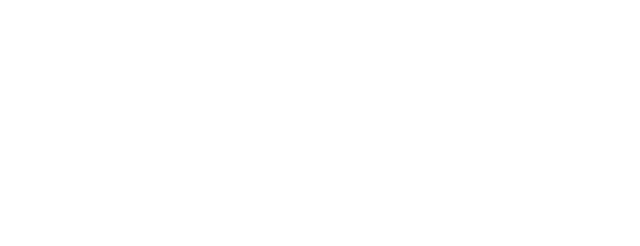 The Shorb Team Logo
